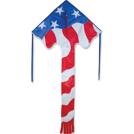 Toyopia 46 in. Delta Patriotic Kite with Tail TO1808299